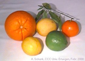 Zitrusfr&uuml;chte