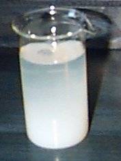 Experiment des Monats