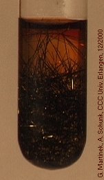 Experiment des Monats