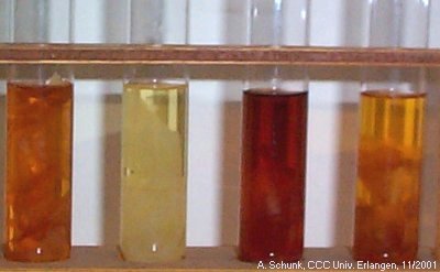 Experiment des Monats