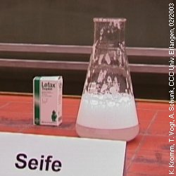 Experiment des Monats