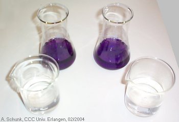 Experiment des Monats