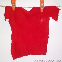 Experiment des Monats