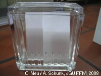 Experiment des Monats