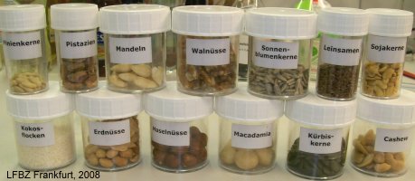 Experiment des Monats