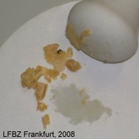 Experiment des Monats