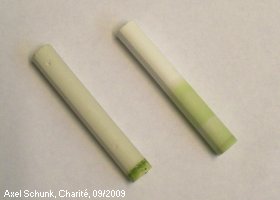 Experiment des Monats