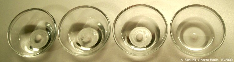 Experiment des Monats