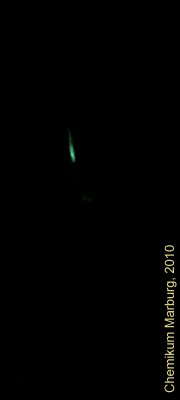 Experiment des Monats