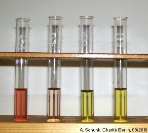 Experiment des Monats