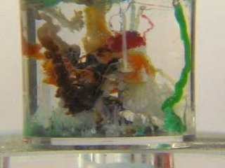 Experiment des Monats