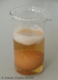 Experiment des Monats