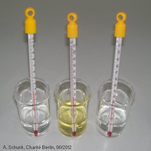 Experiment des Monats