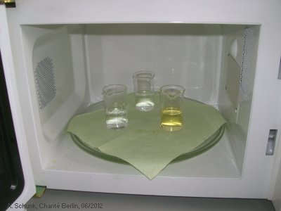 Experiment des Monats