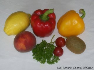 Experiment des Monats