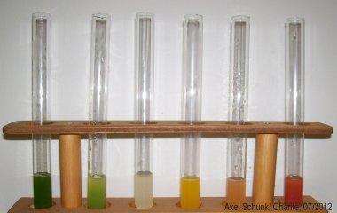 Experiment des Monats