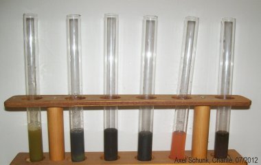 Experiment des Monats