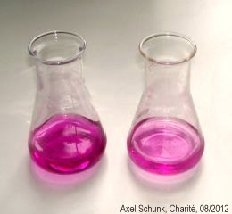 Experiment des Monats