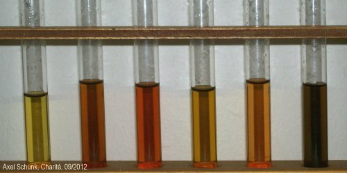 Experiment des Monats