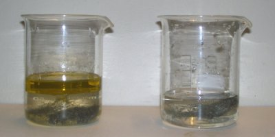 Experiment des Monats