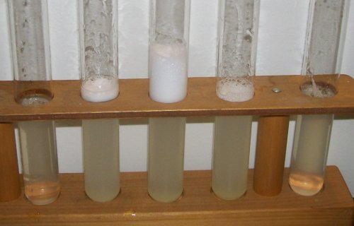 Experiment des Monats