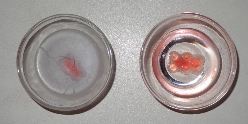 Experiment des Monats