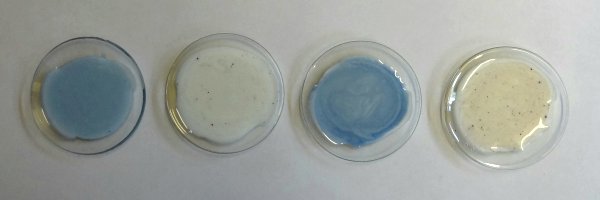 Experiment des Monats