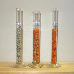 Experiment des Monats