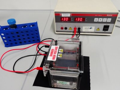 Experiment des Monats