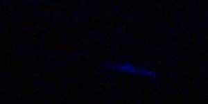 Experiment des Monats