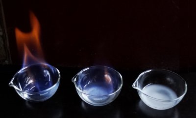 Experiment des Monats