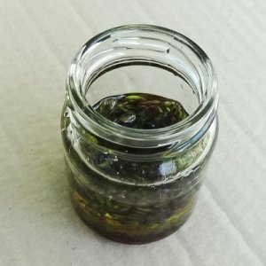 Experiment des Monats