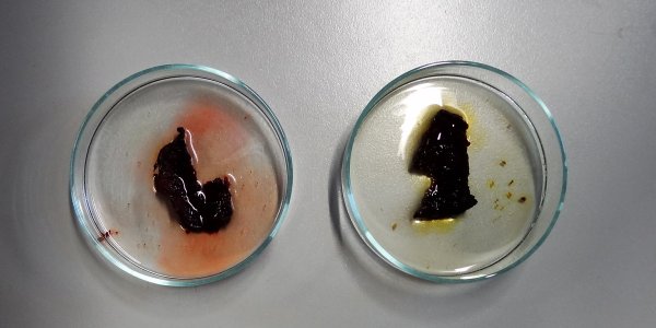 Experiment des Monats