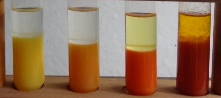 Experiment des Monats