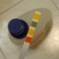 Experiment des Monats