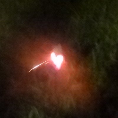 Experiment des Monats