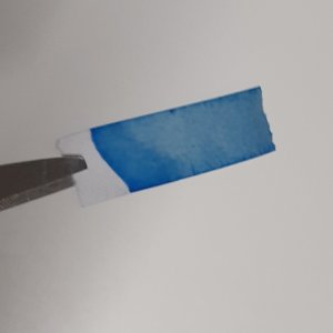 Experiment des Monats