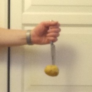 Experiment des Monats