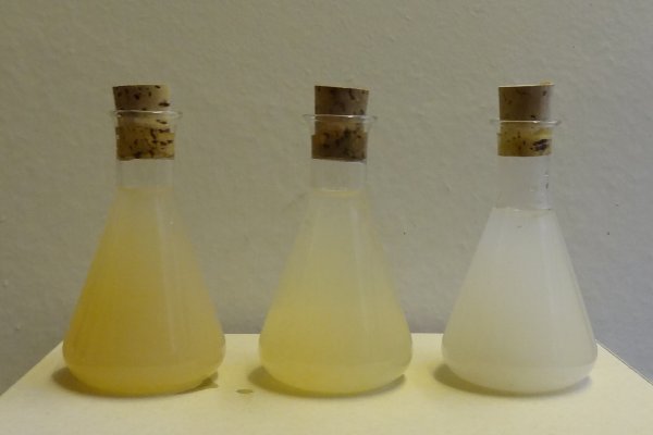 Experiment des Monats