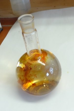 Experiment des Monats