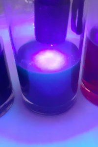 Experiment des Monats