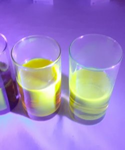 Experiment des Monats